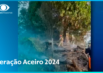 Investimentos para combater incêndios florestais no Amazonas