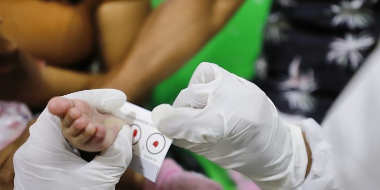 DPE-AM agenda atendimentos para mutirão ‘Meu Pai Tem Nome’ nos municípios do interior do Estado