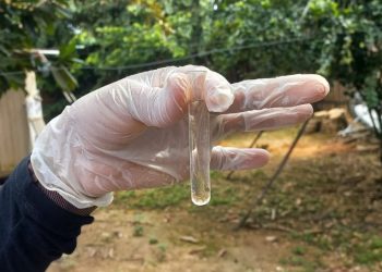 Amazonas soma 30.715 casos de arbovirozes notificados em 2024