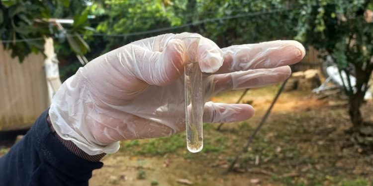 Amazonas soma 30.715 casos de arbovirozes notificados em 2024