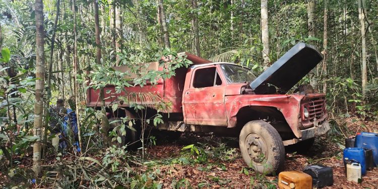 Crime ambientais: Ipaam aplica multas e faz apreensões de equipamentos na Operação Curupira