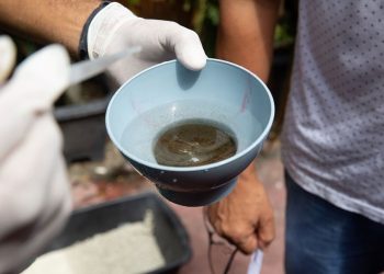 Manaus está em médio risco e 26 bairros têm alta vulnerabilidade para doenças transmitidas pelo Aedes