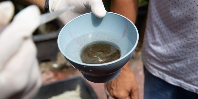 Manaus está em médio risco e 26 bairros têm alta vulnerabilidade para doenças transmitidas pelo Aedes