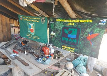 Operação Tamoiotatá aplicou mais de R$ 54 milhões em multa por crimes ambientais no sul do Amazonas