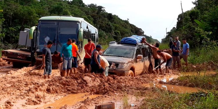 Justiça do Amazonas anula Licença Prévia da BR-319