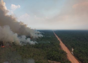 TCE-AM emite alerta aos 62 municípios para combate às queimadas e estiagem