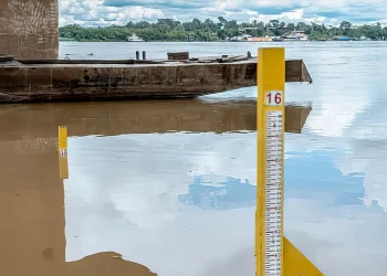ANA declara situação de escassez hídrica nos rios Madeira e Purus