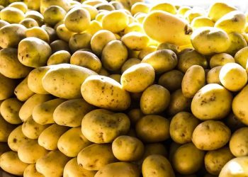 Batata-inglesa e leite longa vida puxam inflação em junho