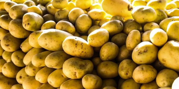 Batata-inglesa e leite longa vida puxam inflação em junho