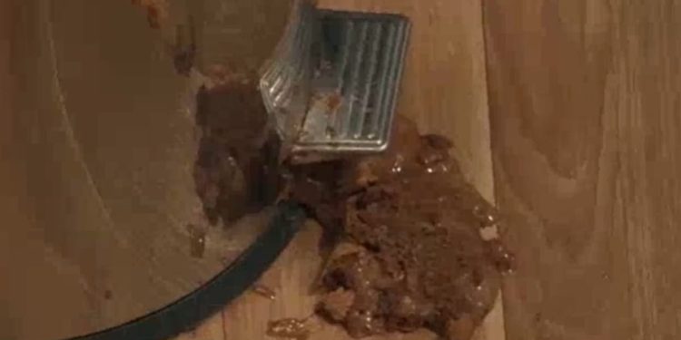 Participante derruba bolo pronto no chão do MasterChef; assista