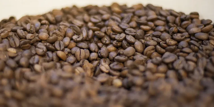 Conheça os elementos que tornam o café torrado impróprio para consumo