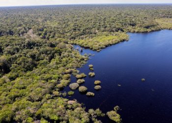 União Europeia fará doação de R$ 120 milhões ao Fundo Amazônia