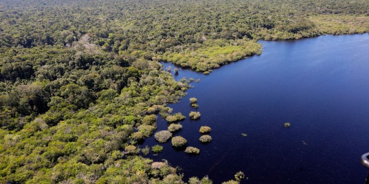 União Europeia fará doação de R$ 120 milhões ao Fundo Amazônia
