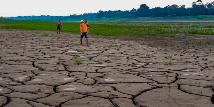 DPE-AM instaura procedimento para acompanhar impactos da estiagem no Alto Solimões