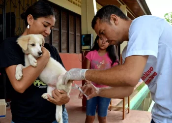 Processo seletivo aberto para contratação de 300 vacinadores em Manaus