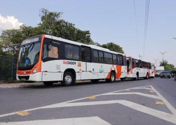 Linha 012 será reativada para atender bairro Tarumã a partir de domingo (1°)