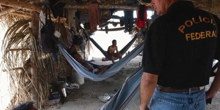 Em dois meses, 593 trabalhadores foram resgatados de condições análogas à escravidão