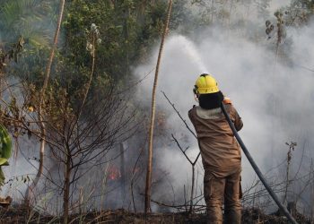 Em dois meses, Operação Aceiro 2024 combateu 4.276 focos de incêndios no interior