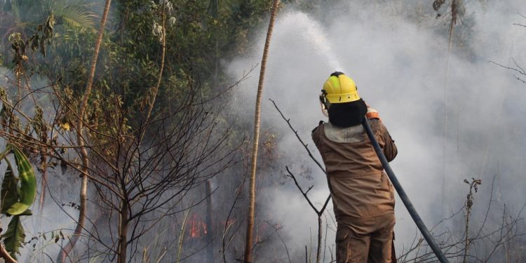 Em dois meses, Operação Aceiro 2024 combateu 4.276 focos de incêndios no interior