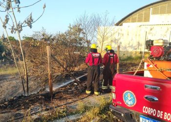 Nas últimas 24 horas, bombeiros combateram 14 incêndios em áreas de vegetação em Manaus