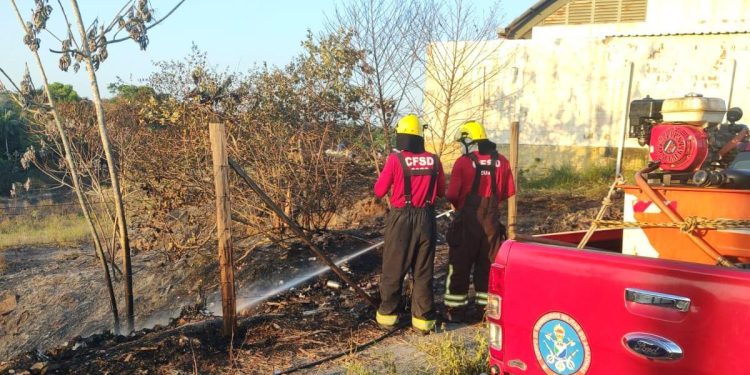 Nas últimas 24 horas, bombeiros combateram 14 incêndios em áreas de vegetação em Manaus