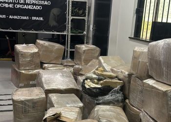 Polícia Civil apreende 1,2 tonelada de drogas em caminhão nas proximidades do Porto da Ceasa