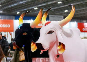 Sesc Amazonas leva cultura de Parintins ao Salão Nacional do Turismo, no Rio de Janeiro