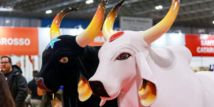 Sesc Amazonas leva cultura de Parintins ao Salão Nacional do Turismo, no Rio de Janeiro