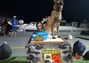 Base Arpão 1: Polícia prende homem que transportava droga camuflada em embarcação