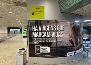 Campanha em Manaus sensibiliza passageiros sobre o tráfico de fauna silvestre nos aeroportos