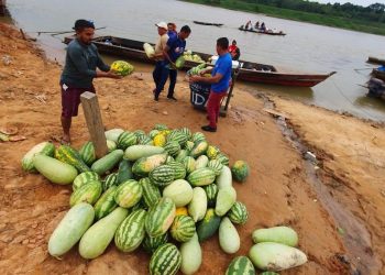 Governo compra alimentos da agricultura familiar de municípios em situação de emergência