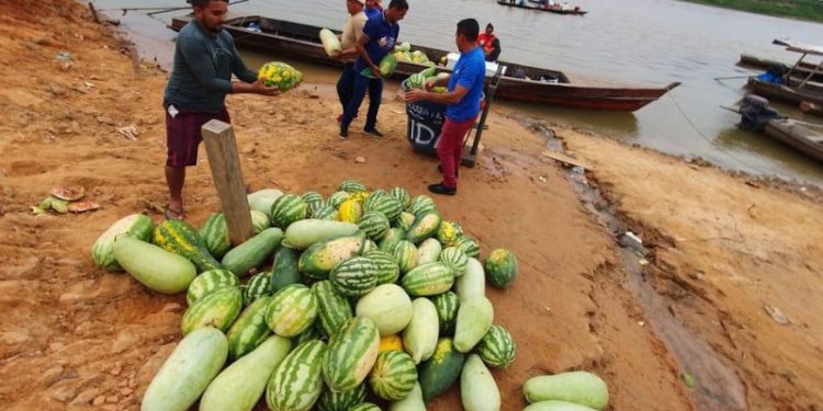 Governo compra alimentos da agricultura familiar de municípios em situação de emergência