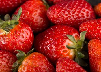 Época de morangos: consumo diário da fruta pode garantir benefícios à saúde, diz nutricionista