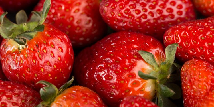 Época de morangos: consumo diário da fruta pode garantir benefícios à saúde, diz nutricionista