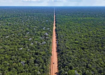 DPE-AM participa de audiência para tratar sobre questões relacionadas à BR-319