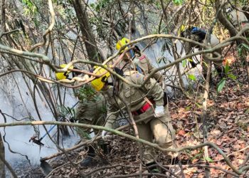 Corpo de Bombeiros monta força-tarefa para extinguir incêndio em Iranduba