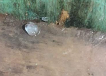 Chuva de granizo causa prejuízos no interior do Amazonas