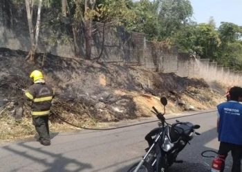 PF vai investigar incêndio em área do INPA em Manaus
