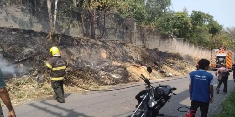 PF vai investigar incêndio em área do INPA em Manaus