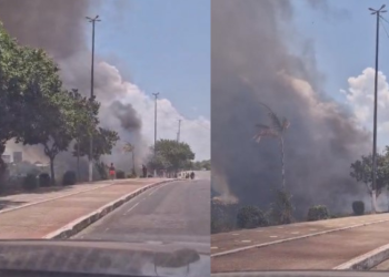 Incêndio atinge área de mata do Prosamim em Manaus