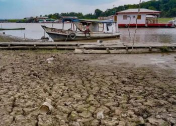Cáritas de Manaus faz campanha para ajudar famílias isoladas pela seca