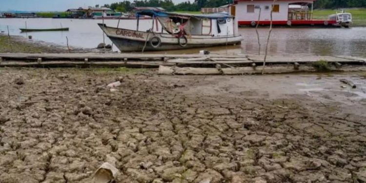 Cáritas de Manaus faz campanha para ajudar famílias isoladas pela seca