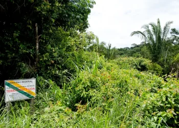 Justiça proíbe mineração nas unidades de conservação sem plano de manejo