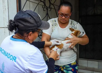Prefeitura de Manaus realiza nova convocação de aprovados no processo seletivo para vacinadores
