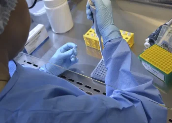 Nova variante do vírus Sars-CoV-2 é identificada em três estados