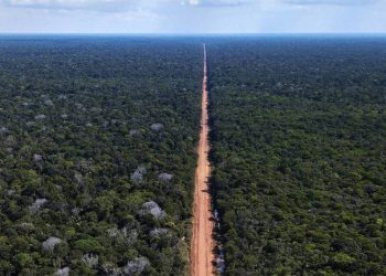 Justiça federal volta autorizar licença prévia da BR-319