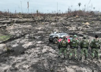 Presos dois suspeitos de provocar incêndios na Amazônia
