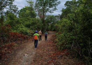 Amazonastur promove ação para fortalecer o setor turístico em Parintins