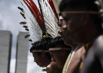 Sete cidades elegeram prefeitos indígenas