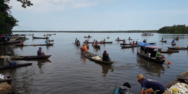 Governo federal libera seguro defeso para pescadores artesanais do AM